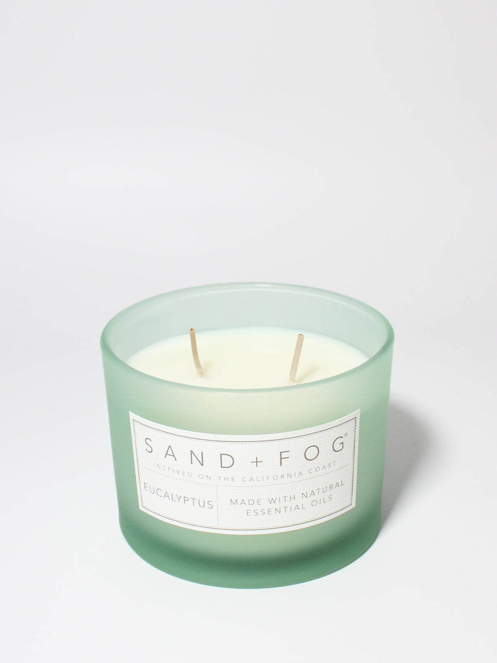 Eucalyptus 12 oz scented candle