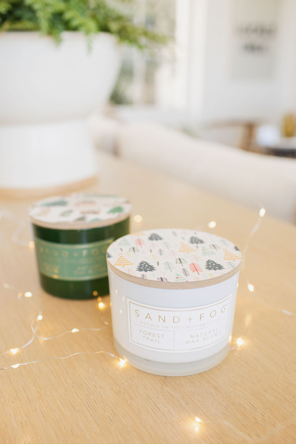 Forest Trail 12 oz scented candle